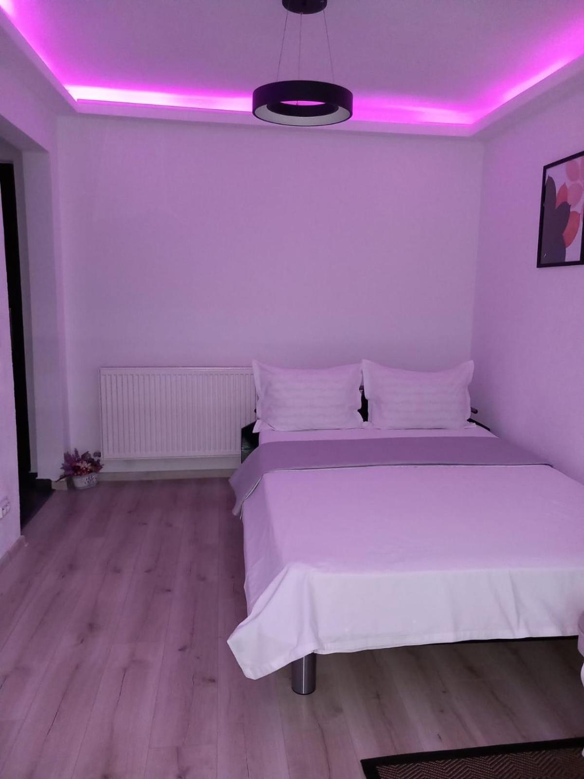 Radu'S Room Curtea De Arges Ngoại thất bức ảnh